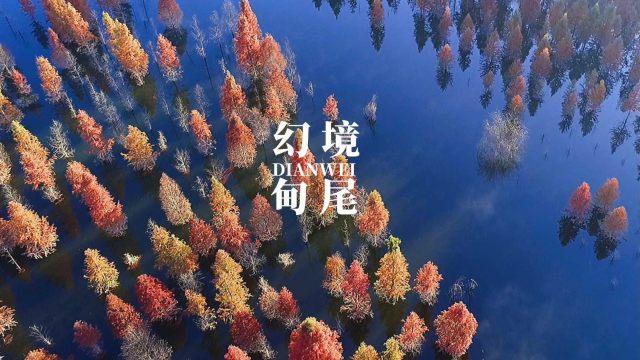 仓鼠最爱吃什么食物？